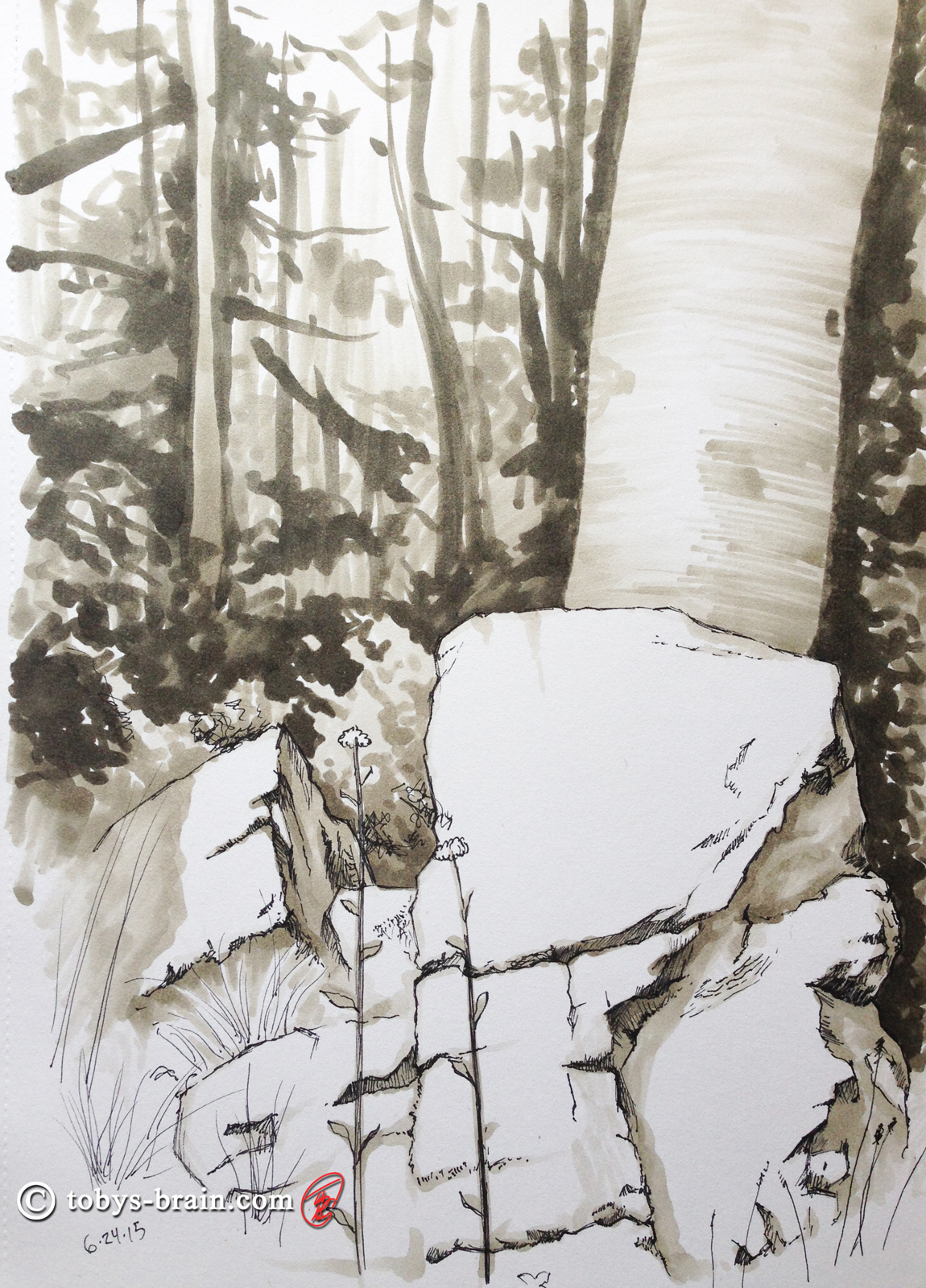 Toby-Gray-rock-and-birch-tree