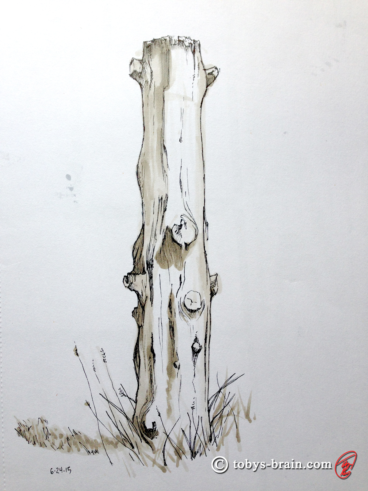 Toby-Gray-stump-post