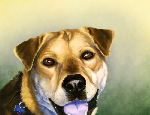 Pet Portraits: Quegan