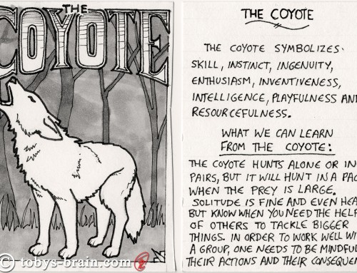 Animal Totem Cards: Coyote