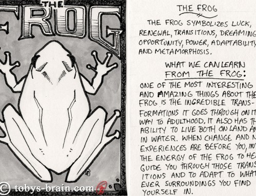 Animal Totem Cards: The Frog