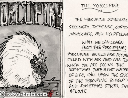 Animal Totem Cards: Porcupine