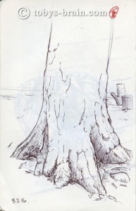 There were quite a few cool trees begging for attention at our campsite as well, but we usually aren't in the site for long enough stretches for me to sit and draw. This was one of the exceptions.