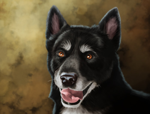 Pet Portraits: Jasmine