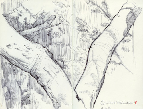 Moleskin Sketch: Tree on North Pac