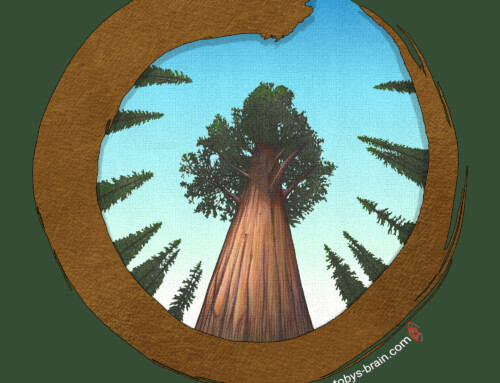 Odin’s Giant Sequoia